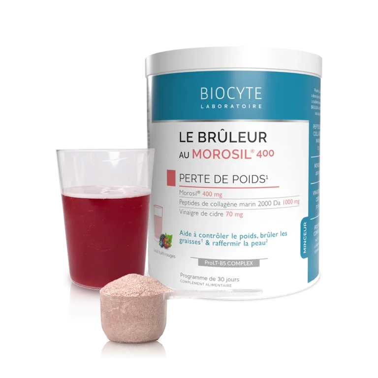 LE BRULEUR AU MOROSIL